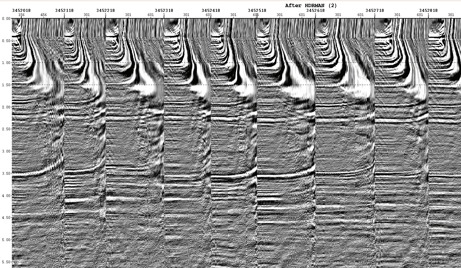 Aspen Echos seismic processing gathers